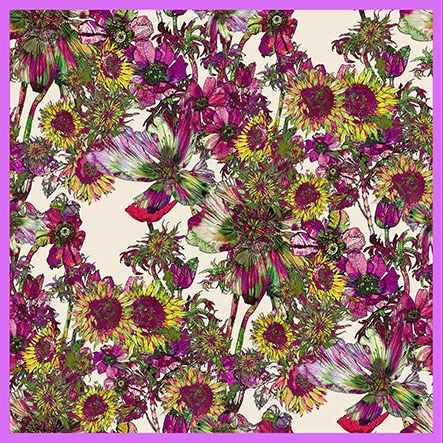 Foulard Elianto Viola